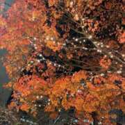 ヒメ日記 2024/12/26 22:29 投稿 かのん 待ちナビ