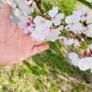 ヒメ日記 2025/04/09 20:52 投稿 かのん 待ちナビ