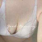 ヒメ日記 2024/12/17 05:38 投稿 かれん 白いぽっちゃりさん錦糸町店