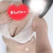 ヒメ日記 2025/06/13 15:17 投稿 かれん 白いぽっちゃりさん錦糸町店