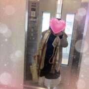 ヒメ日記 2026/03/17 11:15 投稿 森咲　めぐり エテルナ京都