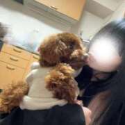 ヒメ日記 2025/03/11 16:42 投稿 えん デザインプリズム新宿