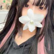 ヒメ日記 2025/04/26 15:54 投稿 えん デザインプリズム新宿