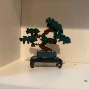 ヒメ日記 2025/05/04 18:10 投稿 えん デザインプリズム新宿