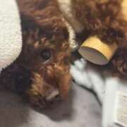 ヒメ日記 2025/05/09 00:01 投稿 えん デザインプリズム新宿