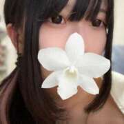 ヒメ日記 2025/05/11 23:29 投稿 えん デザインプリズム新宿