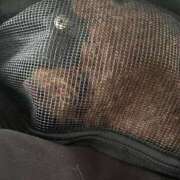 ヒメ日記 2025/05/17 15:59 投稿 えん デザインプリズム新宿