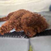 ヒメ日記 2025/06/08 17:00 投稿 えん デザインプリズム新宿