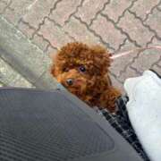 ヒメ日記 2025/07/11 17:34 投稿 えん デザインプリズム新宿