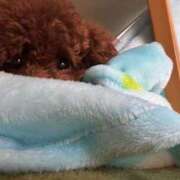 ヒメ日記 2025/07/20 19:39 投稿 えん デザインプリズム新宿