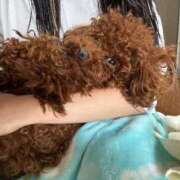 ヒメ日記 2025/09/14 12:12 投稿 えん デザインプリズム新宿