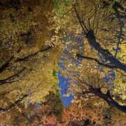 ヒメ日記 2025/11/26 02:20 投稿 えん デザインプリズム新宿