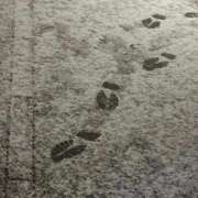 ヒメ日記 2026/02/08 03:10 投稿 えん デザインプリズム新宿