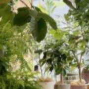 ヒメ日記 2025/03/26 08:52 投稿 新山　かれん ソープランド蜜 人妻・美熟女専門店