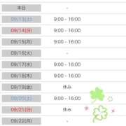 ヒメ日記 2025/09/12 17:45 投稿 新山　かれん ソープランド蜜 人妻・美熟女専門店