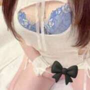 ヒメ日記 2025/12/13 08:52 投稿 新山　かれん ソープランド蜜 人妻・美熟女専門店