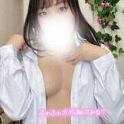 ヒメ日記 2025/02/15 10:10 投稿 芦沢こむぎ 池袋パラダイス