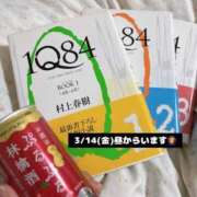 ヒメ日記 2025/03/13 22:13 投稿 芦沢こむぎ 池袋パラダイス