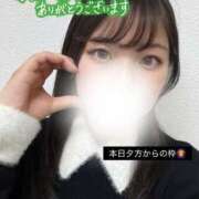 ヒメ日記 2025/03/15 12:24 投稿 芦沢こむぎ 池袋パラダイス