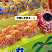 ヒメ日記 2025/03/28 08:14 投稿 芦沢こむぎ 池袋パラダイス