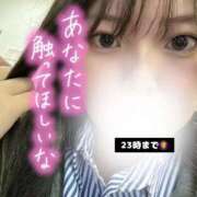 ヒメ日記 2025/05/27 20:09 投稿 芦沢こむぎ 池袋パラダイス