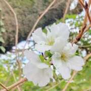 といろ 来週 人妻小旅行～神奈川県央編