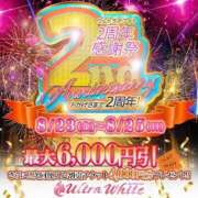 平子まこ 2周年感謝祭🎊 ウルトラホワイト