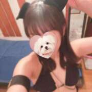 ヒメ日記 2025/02/12 19:46 投稿 みわく 川崎ソープ　クリスタル京都南町