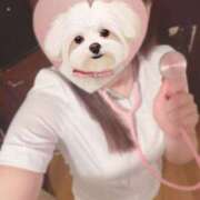 ヒメ日記 2025/03/12 14:13 投稿 みわく 川崎ソープ　クリスタル京都南町