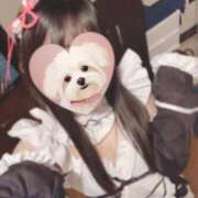 ヒメ日記 2025/09/17 19:47 投稿 みわく 川崎ソープ　クリスタル京都南町