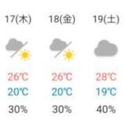 ヒメ日記 2024/10/15 07:43 投稿 岩崎 おふくろ