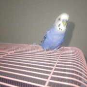 ヒメ日記 2025/07/12 18:45 投稿 ゆずき しゅうかつ倶楽部