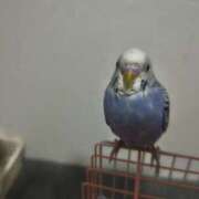 ヒメ日記 2025/07/18 09:25 投稿 ゆずき しゅうかつ倶楽部