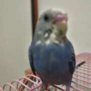 ヒメ日記 2025/10/29 12:17 投稿 ゆずき しゅうかつ倶楽部