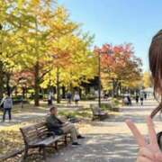 成瀬あや 散歩日和☆ ワイフセレクション