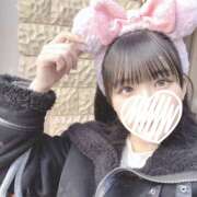 ヒメ日記 2024/12/19 22:49 投稿 らら かりんと池袋東口店