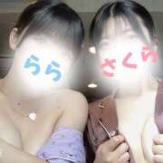 ヒメ日記 2025/02/19 08:43 投稿 さくら かりんと池袋東口店