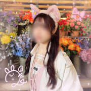 ヒメ日記 2025/04/25 12:30 投稿 うた かりんと吉祥寺