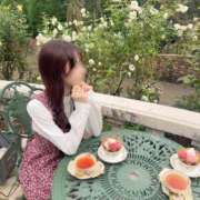 ヒメ日記 2025/11/05 12:27 投稿 うた かりんと吉祥寺