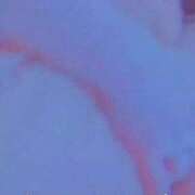 ヒメ日記 2024/12/13 13:03 投稿 ゆみ 奥様特急三条店