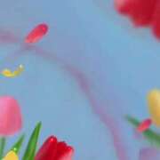 ヒメ日記 2025/02/25 11:43 投稿 ゆみ 奥様特急三条店