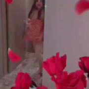 ヒメ日記 2026/03/12 21:32 投稿 ゆみ 奥様特急三条店