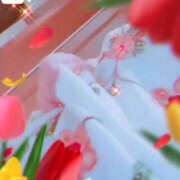 ヒメ日記 2026/07/17 13:02 投稿 ゆみ 奥様特急三条店