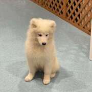 ヒメ日記 2024/12/14 12:24 投稿 さな クラスメイト