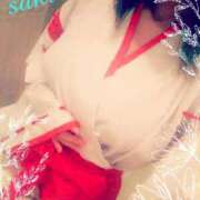 ヒメ日記 2025/01/01 12:05 投稿 さき C.C.CATS