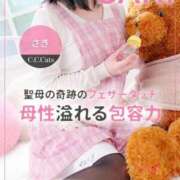 ヒメ日記 2025/02/18 10:09 投稿 さき C.C.CATS