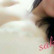 ヒメ日記 2025/05/25 11:44 投稿 さき C.C.CATS