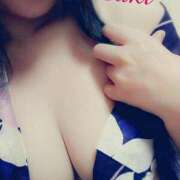 ヒメ日記 2025/07/26 11:41 投稿 さき C.C.CATS