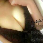 ヒメ日記 2025/08/29 11:41 投稿 さき C.C.CATS