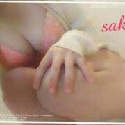 ヒメ日記 2025/09/30 11:41 投稿 さき C.C.CATS